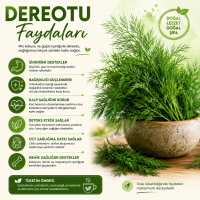 Dereotu Faydaları